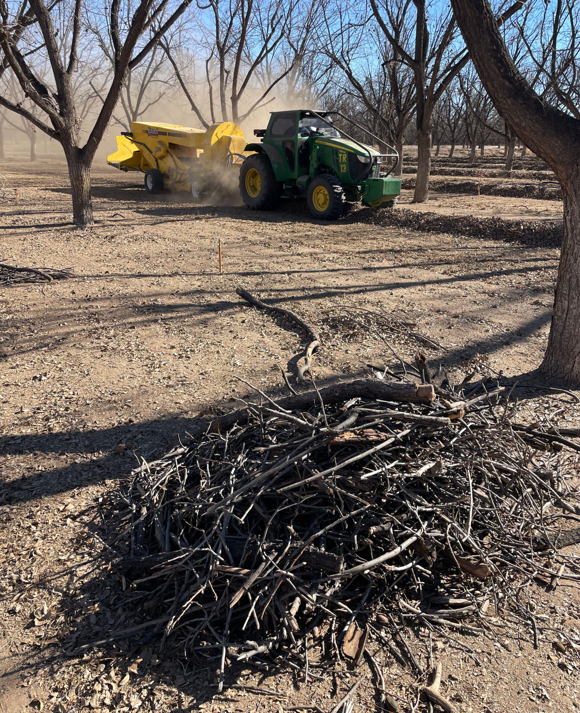 Stick and Debris Removal